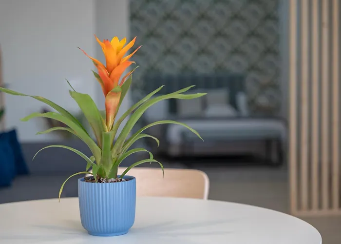 דירה Loft The Ma By Paramount Holidays אדחה