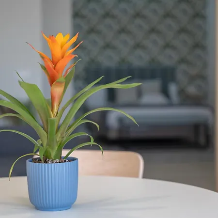 Διαμέρισμα Loft The Ma By Paramount Holidays Costa Adeje (Tenerife)